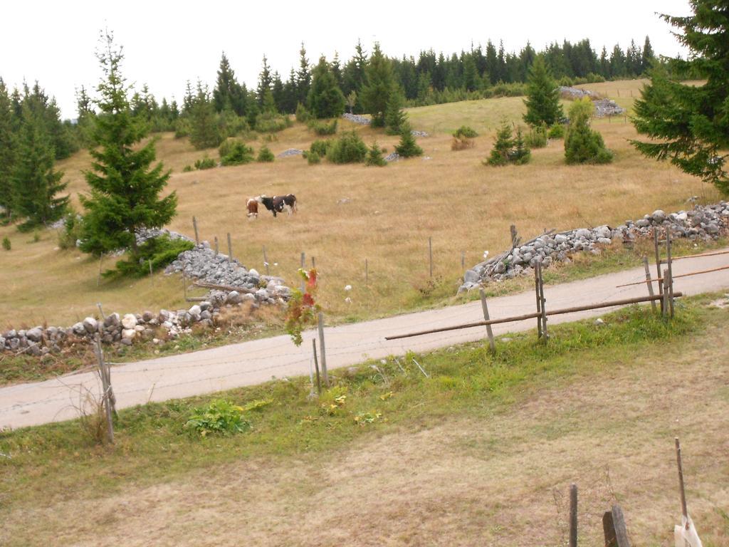 Zabljak Izdavanje Kuce Žabljak Exterior foto